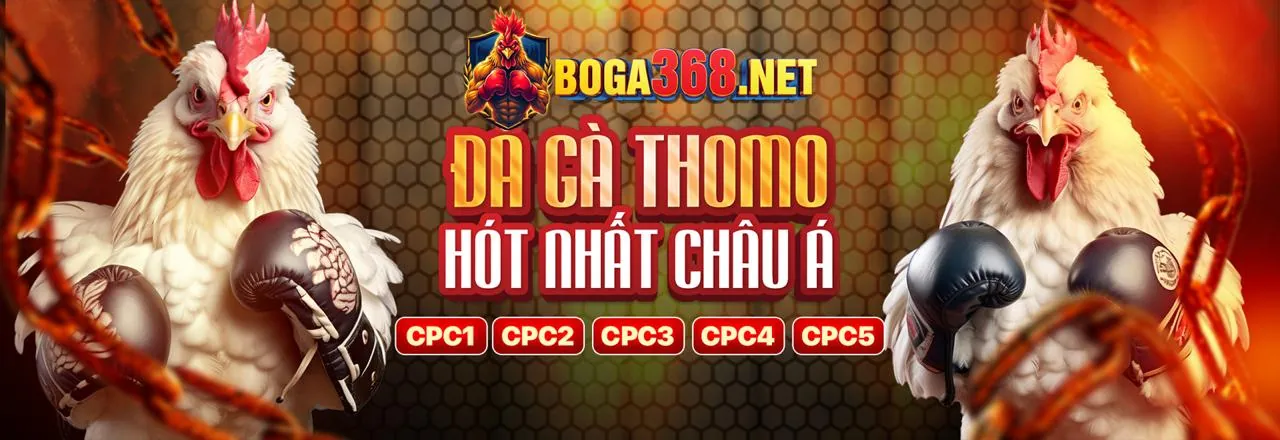 Tham gia bongx9 ngay hôm nay và nhận ưu đãi